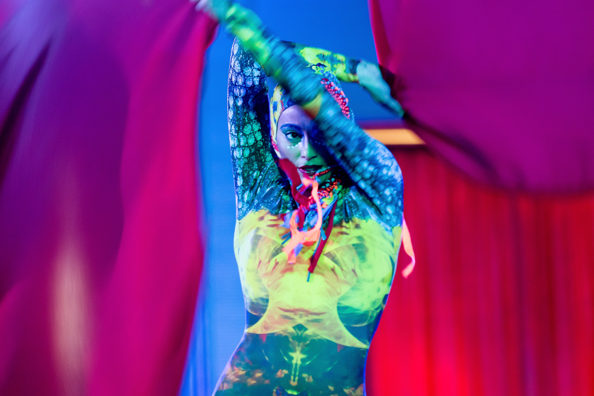 concept circo performer