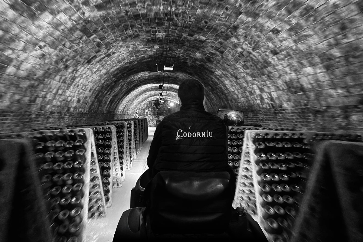 Website_Inprof_0926_04