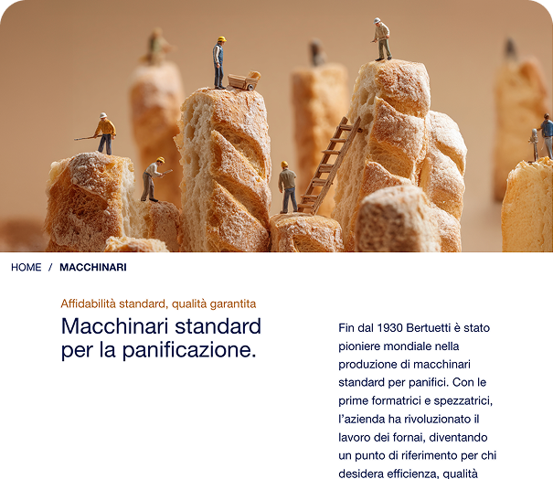 Sito web Bertuetti - pagina macchinari