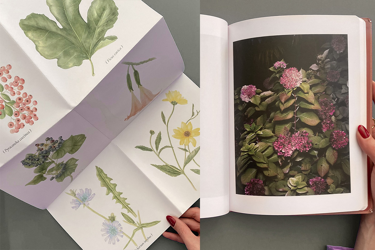 blog libro 2 residency