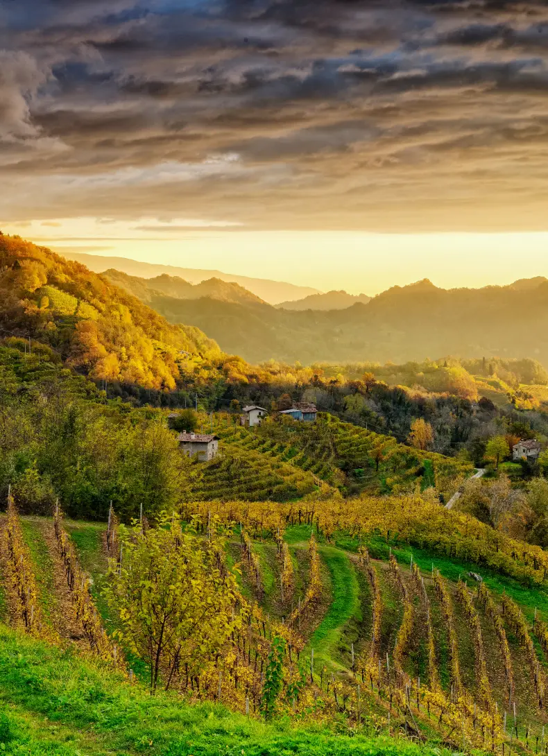 Valorizzare un Patrimonio Mondiale