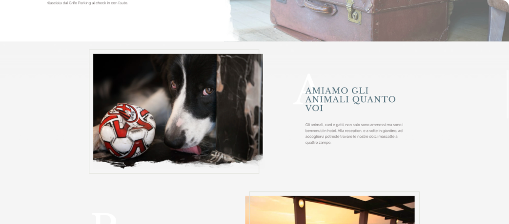 Cani e valigie in un design